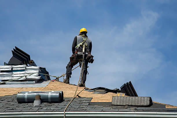 Professional Roofing technician working in Laporte, CO